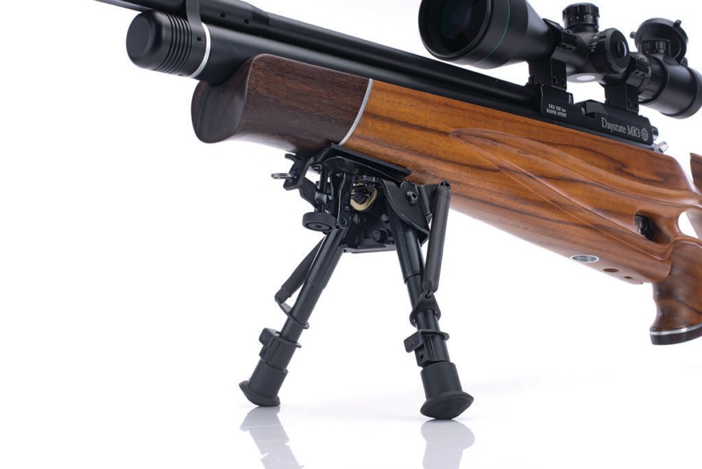 air rifle advantages and disadvantages
